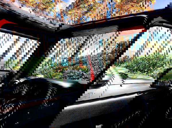 elliemarriee image ~ Altpins