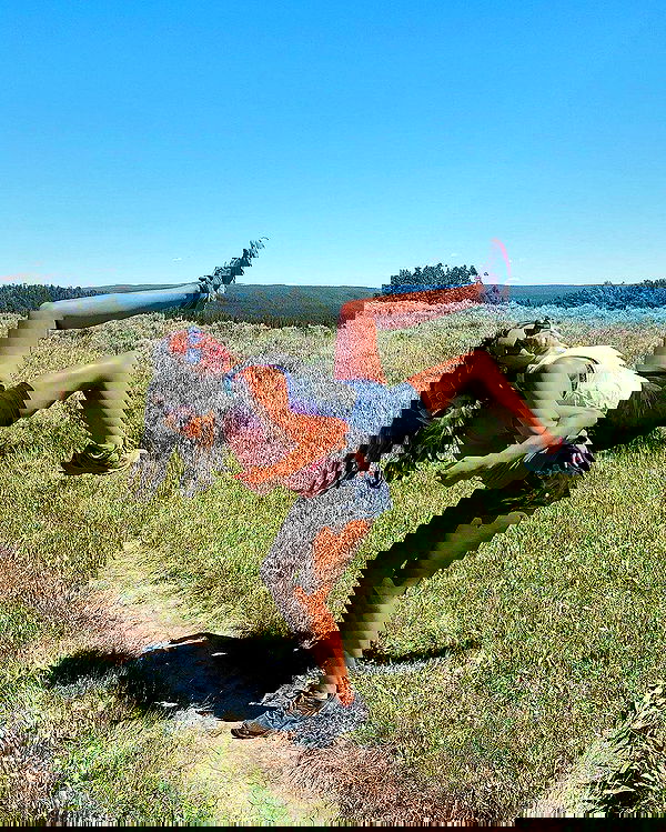 elliemarriee image ~ Altpins