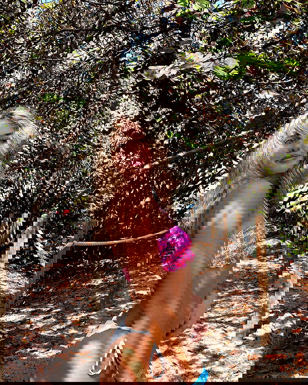 elliemarriee image ~ Altpins