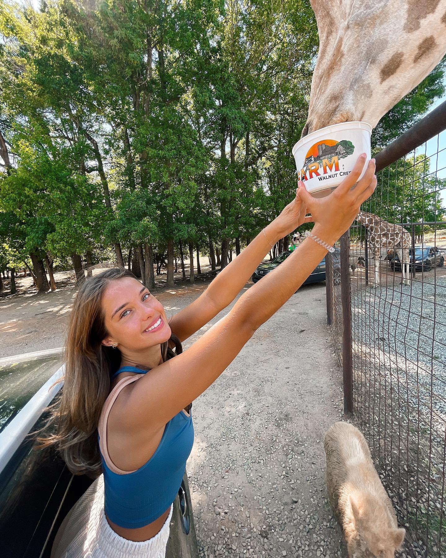 elliemarriee instagram image archive image