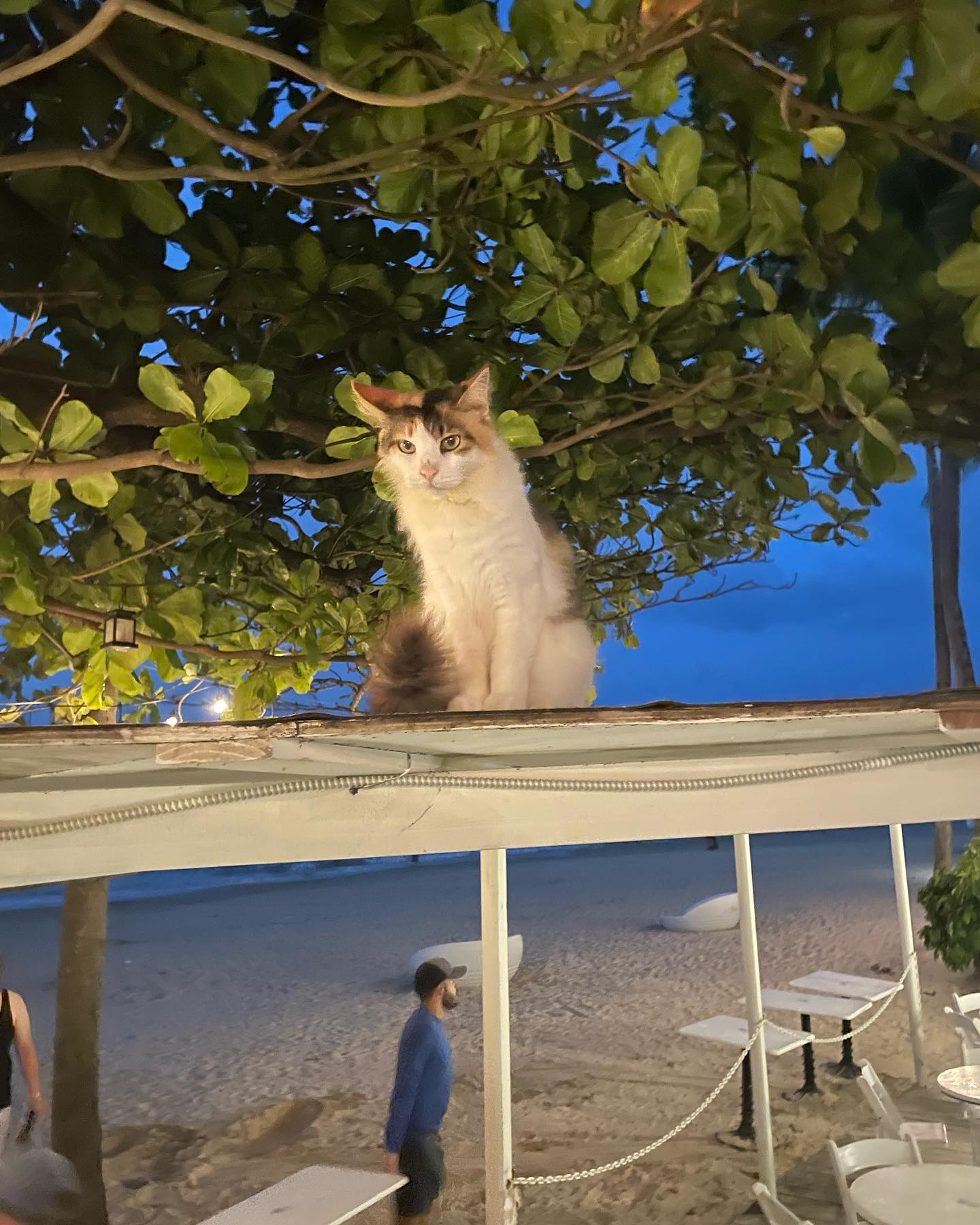 elliemarriee instagram image archive image