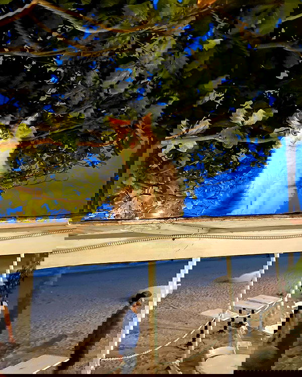 elliemarriee image ~ Altpins