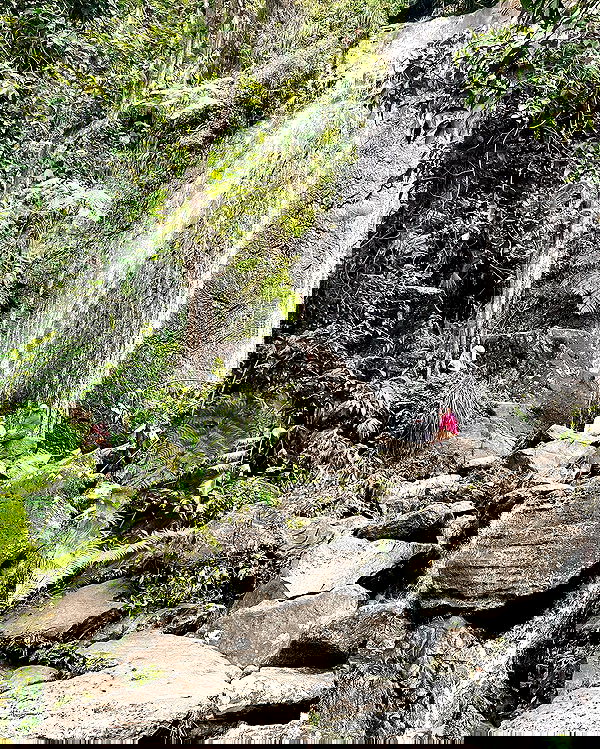 elliemarriee image ~ Altpins