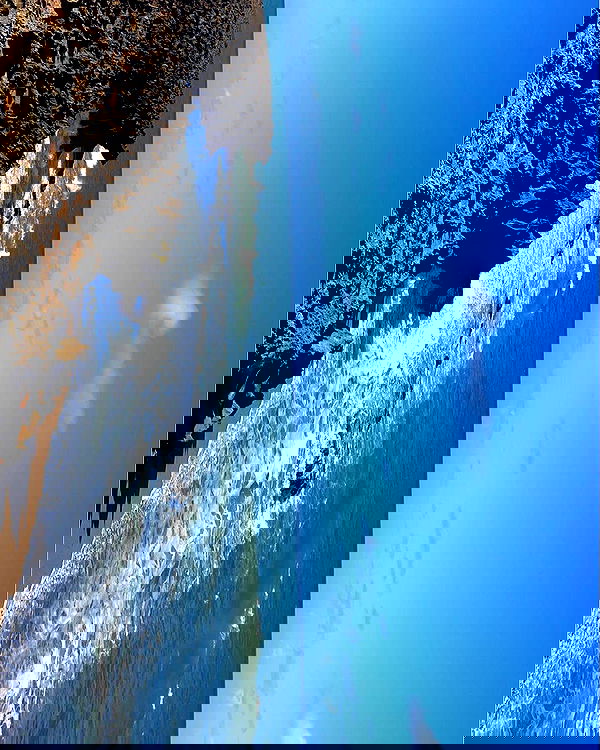 elliemarriee image ~ Altpins