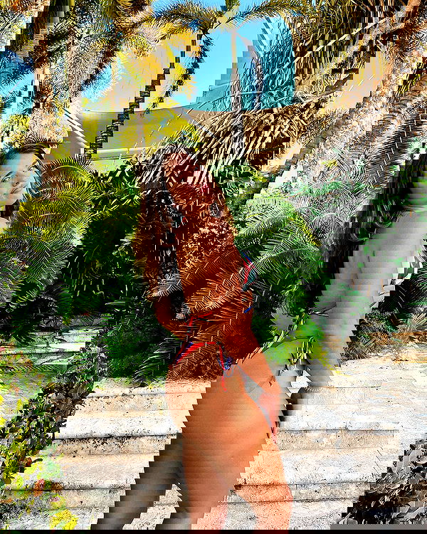 elliemarriee image ~ Altpins