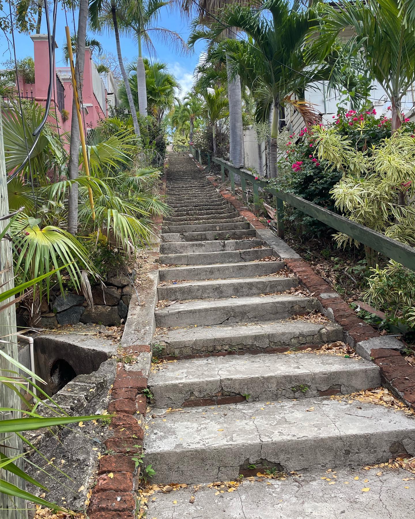 elliemarriee instagram image archive image