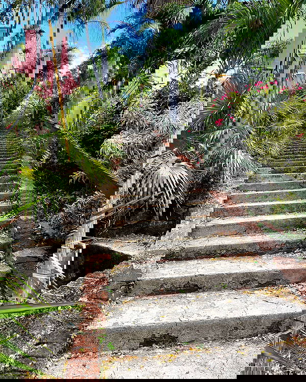 elliemarriee image ~ Altpins