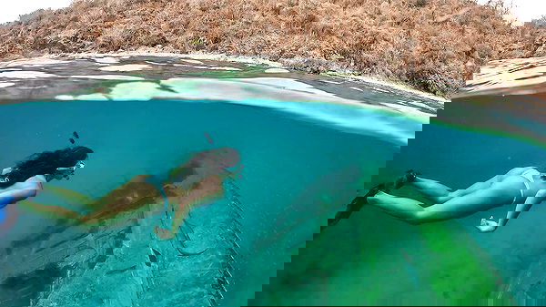 elliemarriee image ~ Altpins