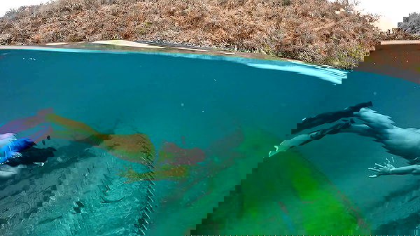 elliemarriee image ~ Altpins