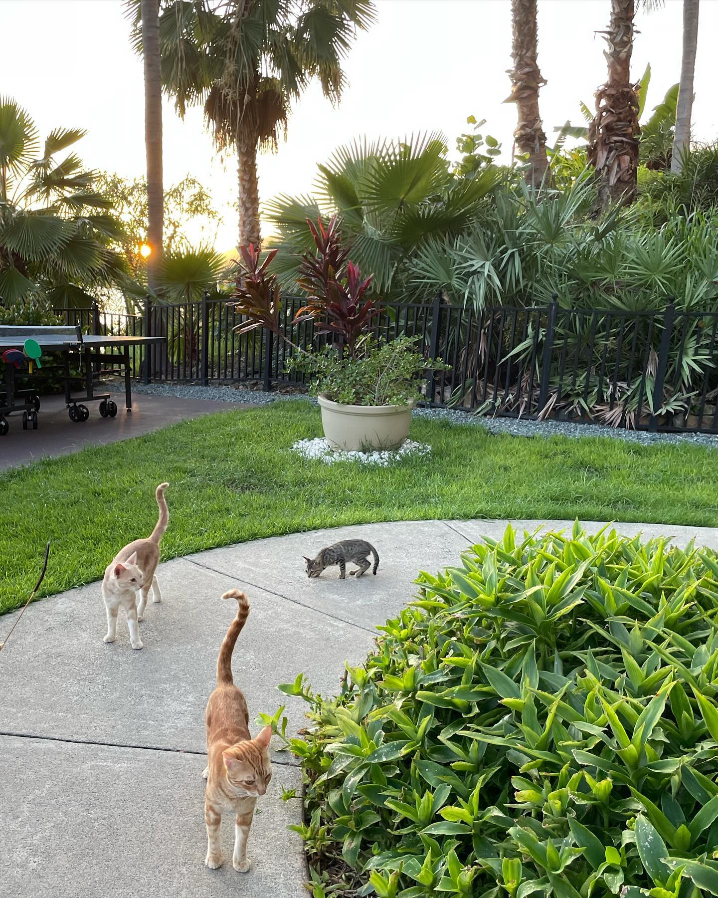 elliemarriee instagram image archive image