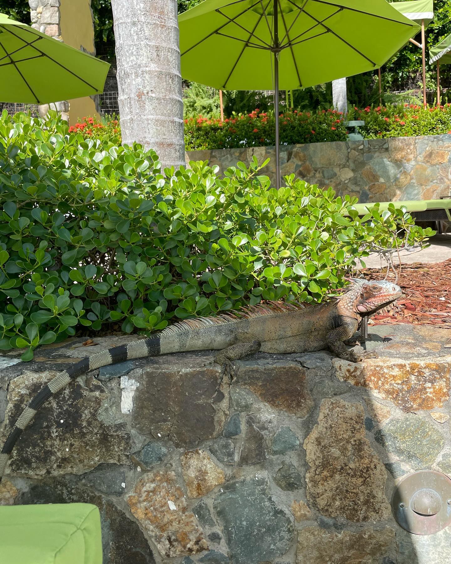 elliemarriee instagram image archive image