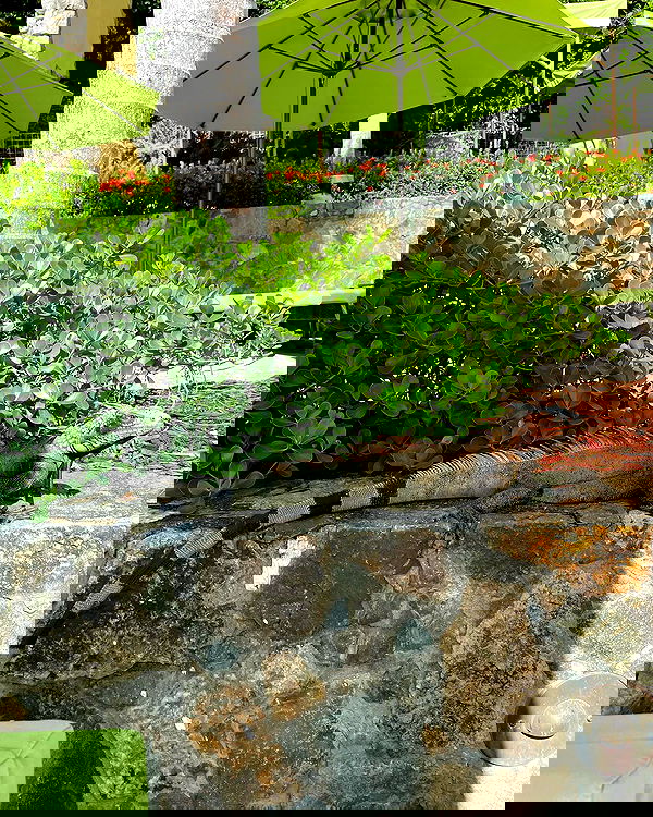 elliemarriee image ~ Altpins