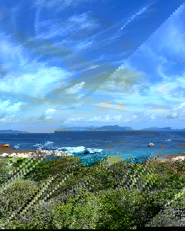 elliemarriee image ~ Altpins