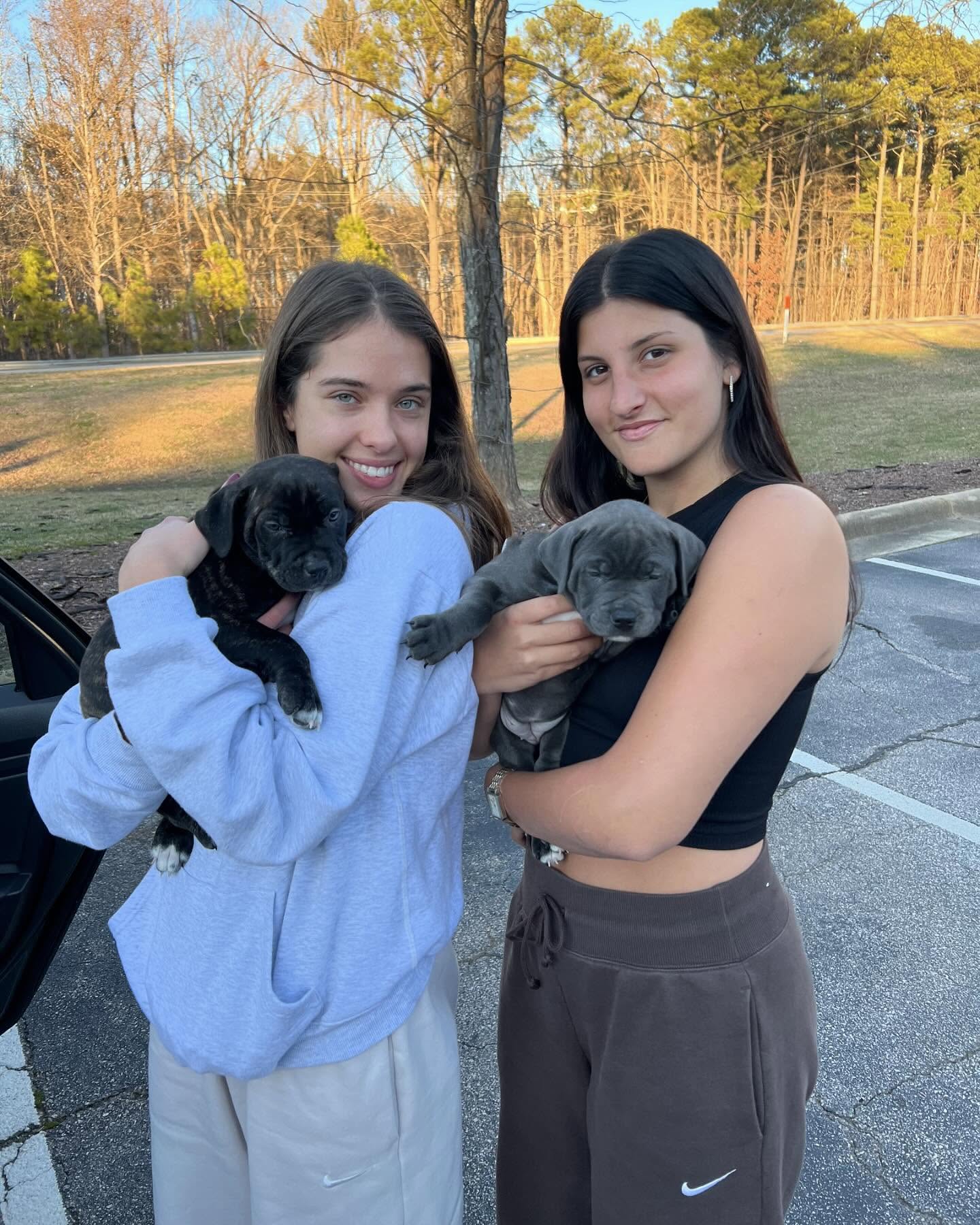 elliemarriee instagram image archive image