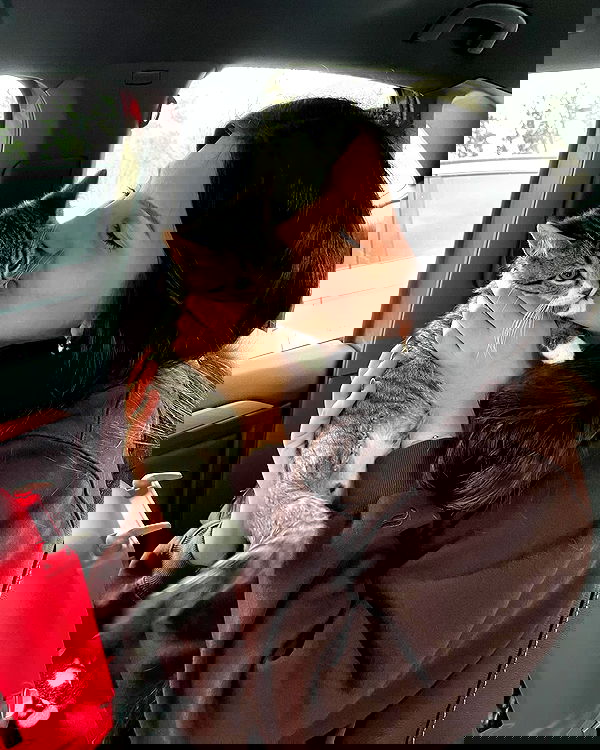 elliemarriee image ~ Altpins