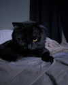 elliemvvnn Altpins Profile Picture