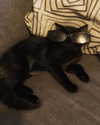 elliemvvnn Altpins Profile Picture