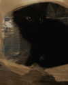 elliemvvnn Altpins Profile Picture