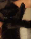 elliemvvnn Altpins Profile Picture