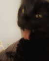 elliemvvnn Altpins Profile Picture