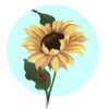 elohim_adirim Altpins Profile Picture