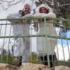 elohim_adirim Altpins Profile Picture