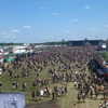 elohim_adirim Altpins Profile Picture