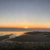 eloise_wensley Altpins Profile Picture