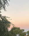 eloise_wensley Altpins Profile Picture