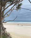 eloise_wensley Altpins Profile Picture