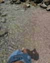 eloise_wensley Altpins Profile Picture