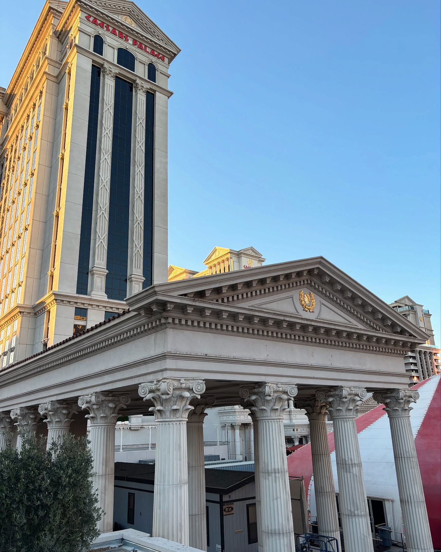 elsgatti instagram image archive image