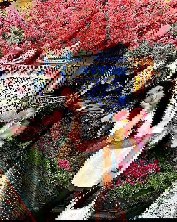 elsgatti image ~ Altpins