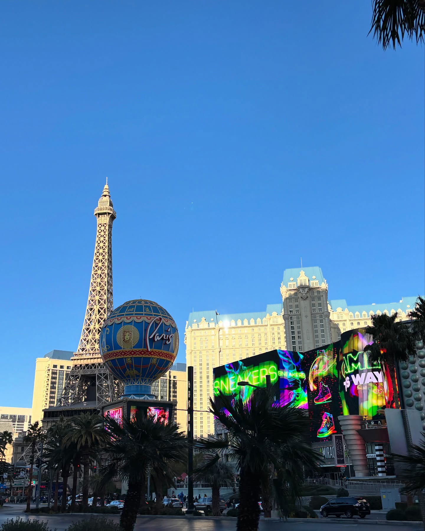 elsgatti instagram image archive image