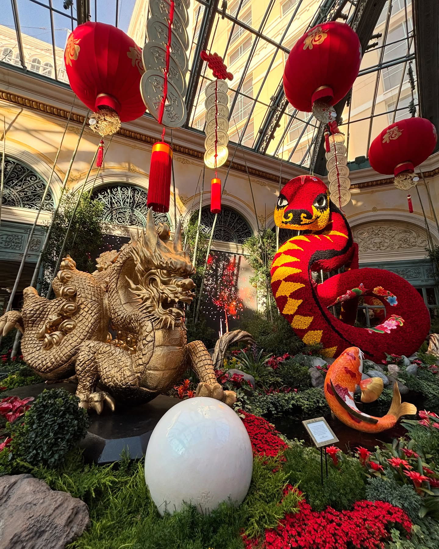 elsgatti instagram image archive image