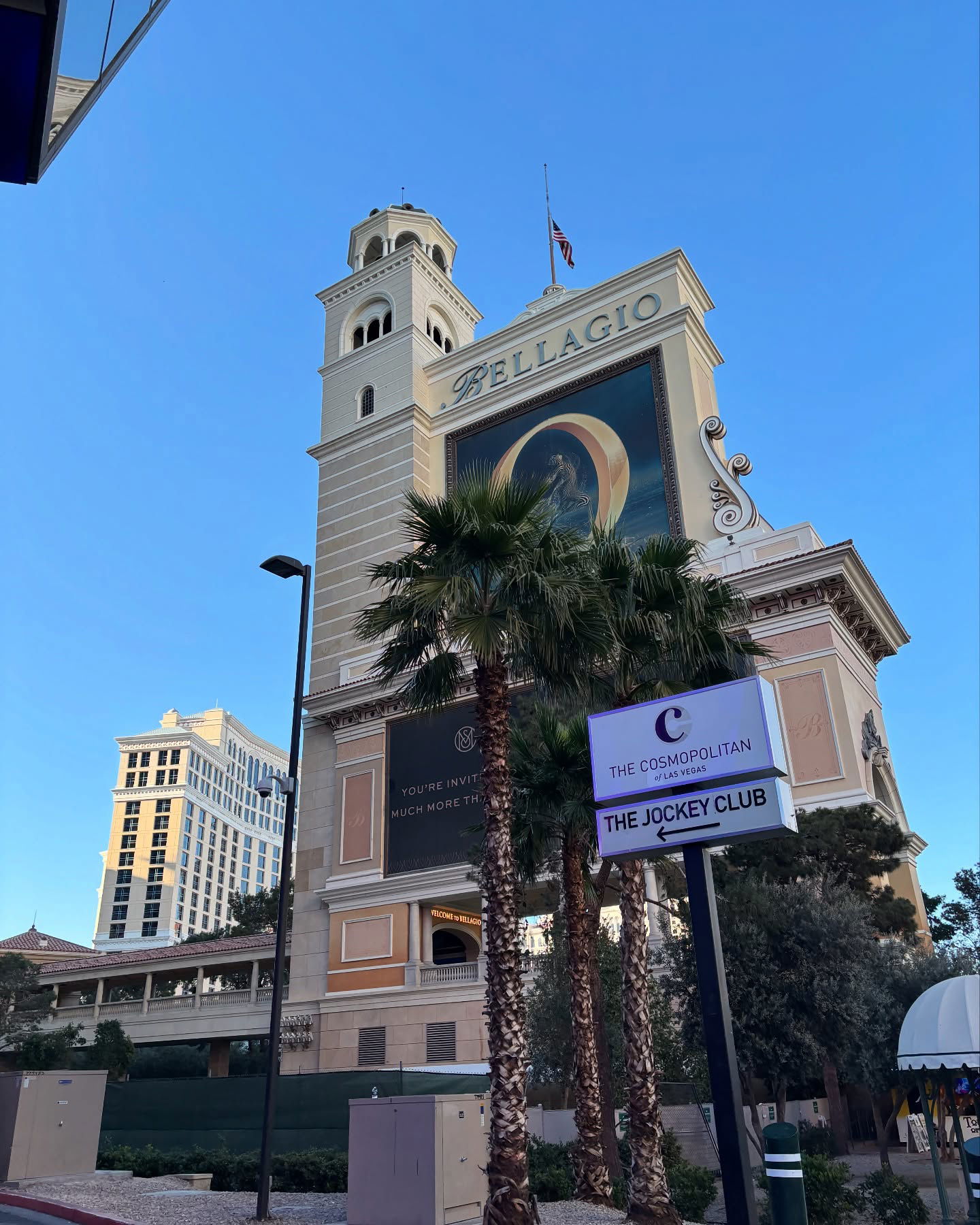 elsgatti instagram image archive image