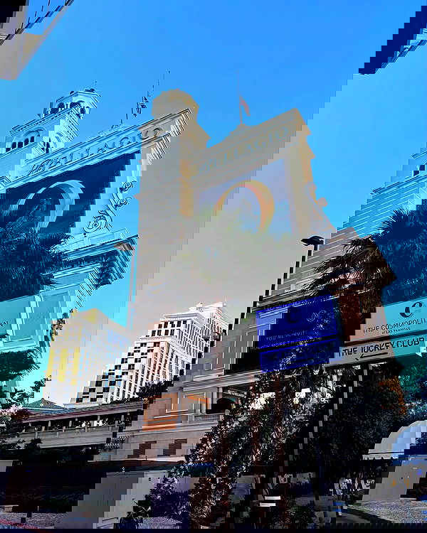 elsgatti image ~ Altpins