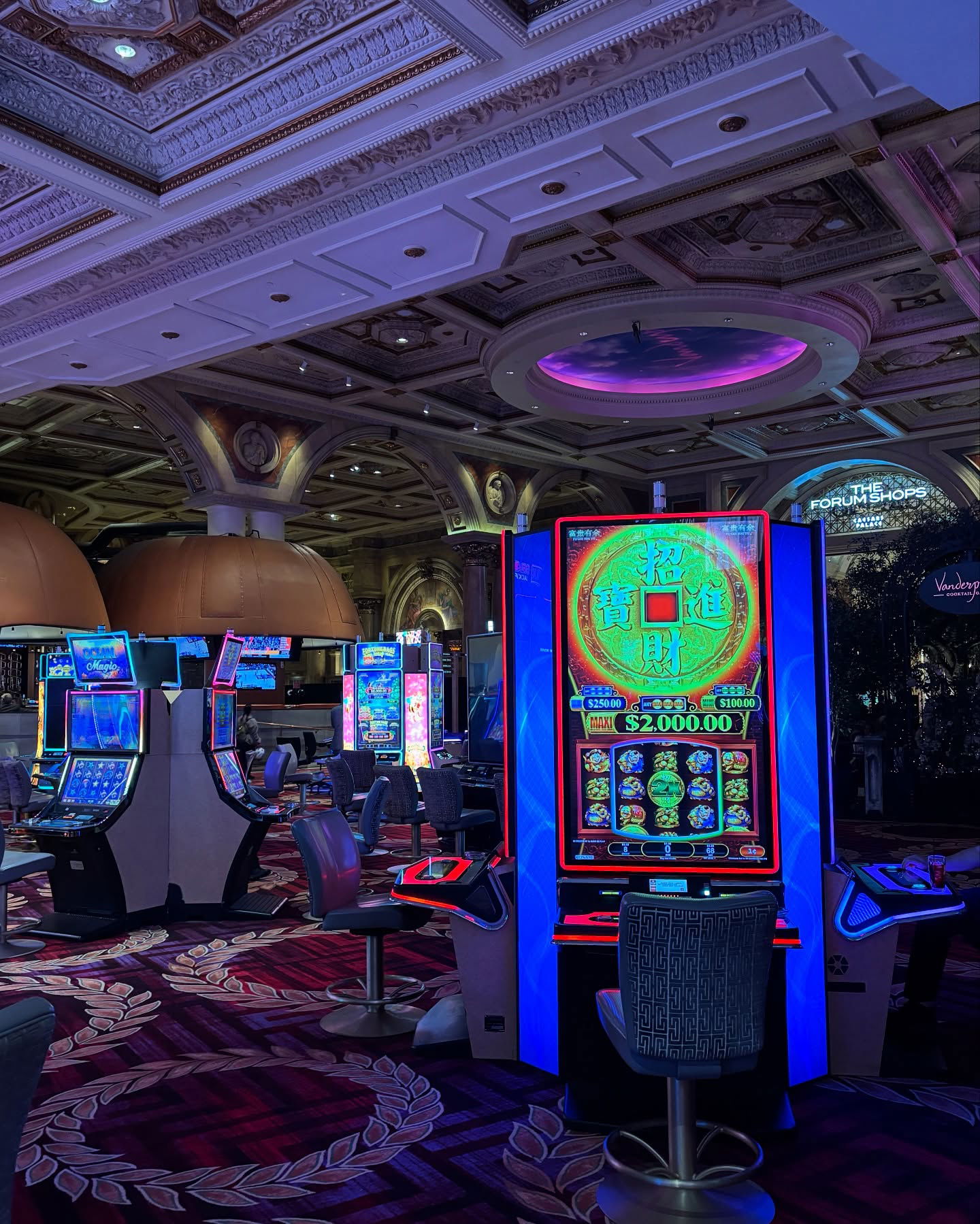 elsgatti instagram image archive image