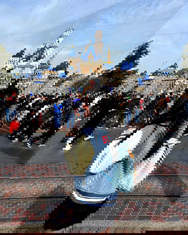 elsgatti image ~ Altpins