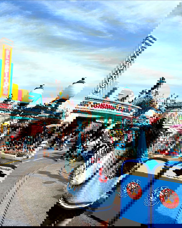 elsgatti image ~ Altpins