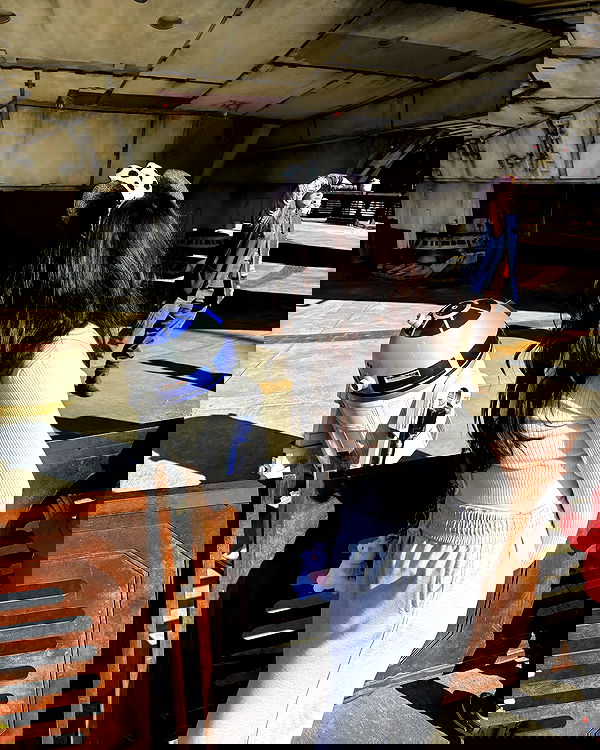 elsgatti image ~ Altpins