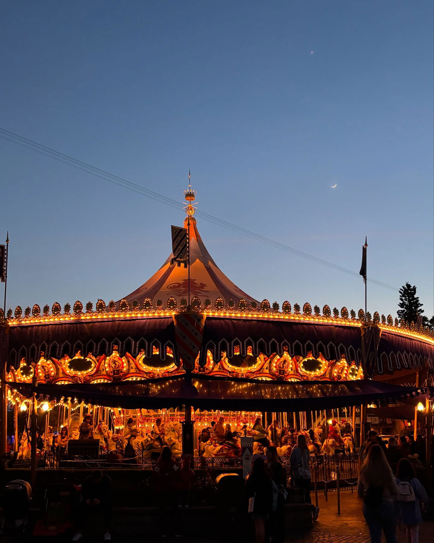 elsgatti instagram image archive image