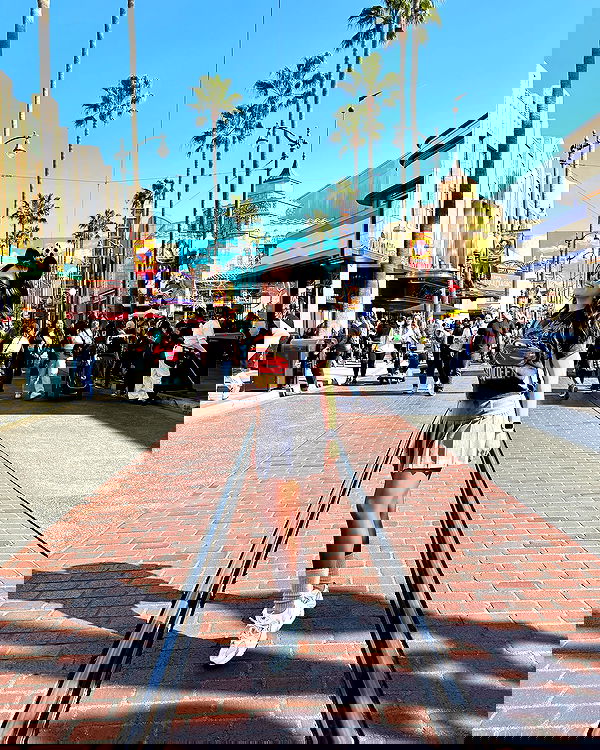 elsgatti image ~ Altpins