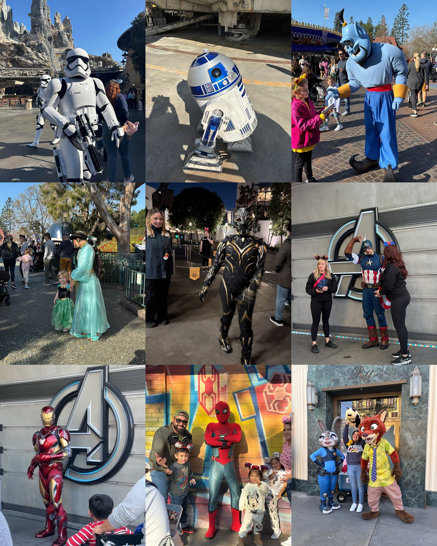 elsgatti instagram image archive image