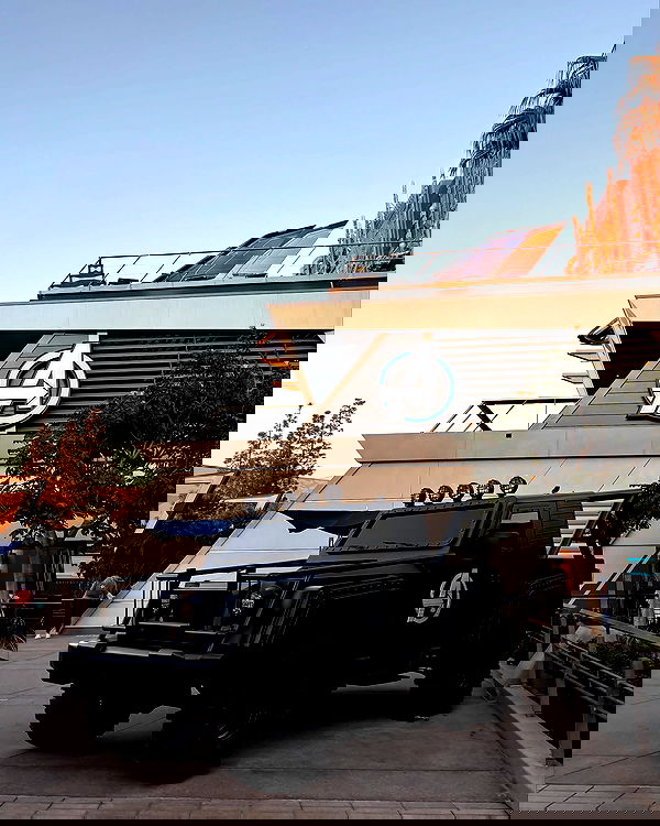 elsgatti image ~ Altpins