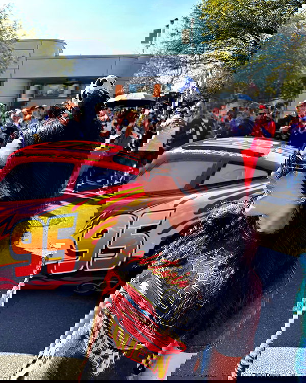 elsgatti image ~ Altpins