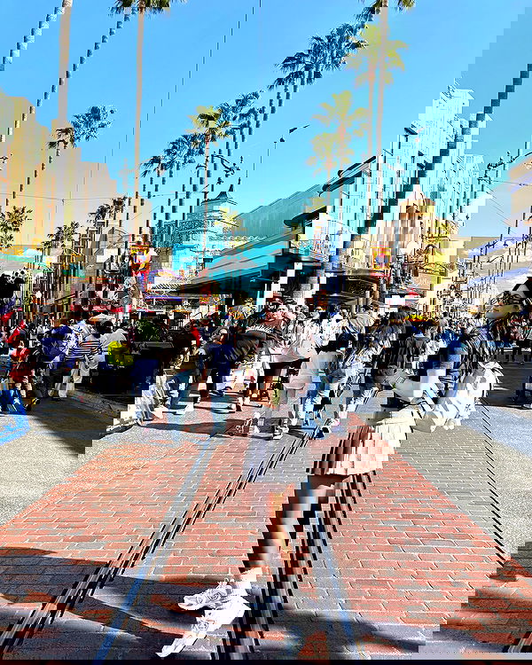 elsgatti image ~ Altpins