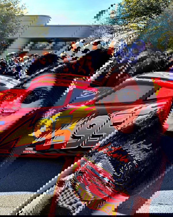 elsgatti image ~ Altpins