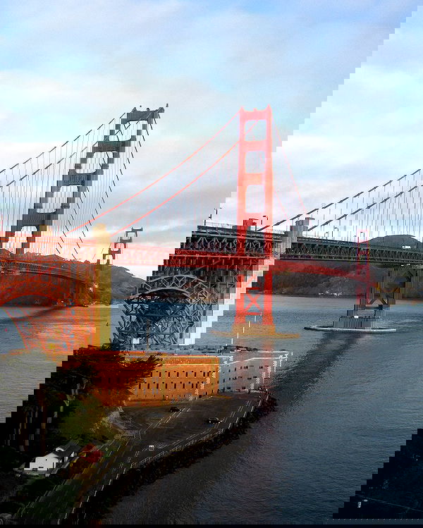 elsgatti image ~ Altpins