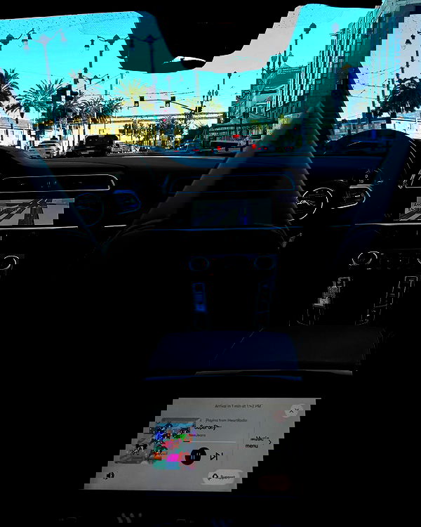 elsgatti image ~ Altpins